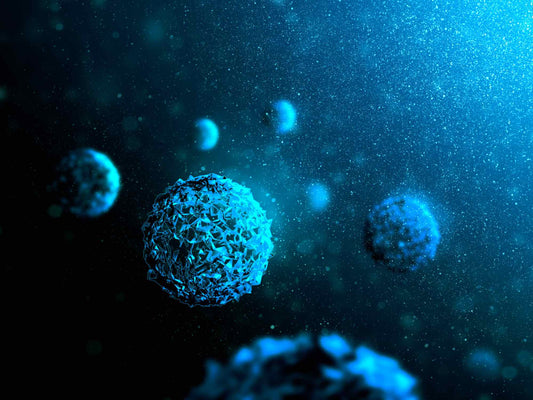 Filtering Cysts from Drinking Water