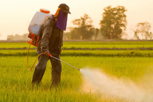 Pesticides and Herbicides in Hong Kong Water