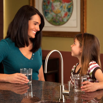 WaterChef U9000 Premium Under-Sink Water Filtration System