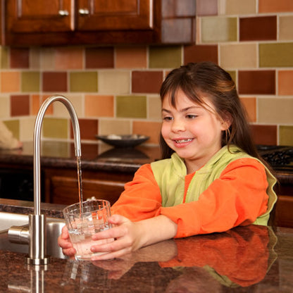 WaterChef U9000 Premium Under-Sink Water Filtration System
