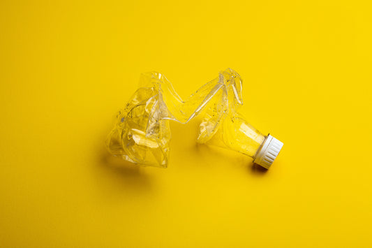 What Really Happens to a Plastic Bottle Once You’re Done With It