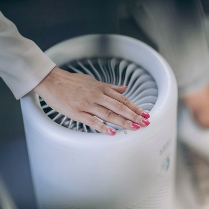 LIFA air LA503 Air Purifier